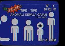 Anomali Kepala Gajah Tahun 1981